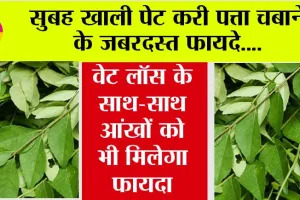 Curry Leaves Benefits: सुबह खाली पेट करी पत्ता चबाने के जबरदस्त फायदे, वेट लॉस के साथ-साथ आंखों को भी मिलेगा फायदा