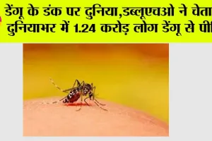 Dengue Fever: डेंगू के डंक पर दुनिया, डब्लूएचओ ने चेताया, दुनियाभर में 1.24 करोड़ लोग डेंगू से पीड़ित