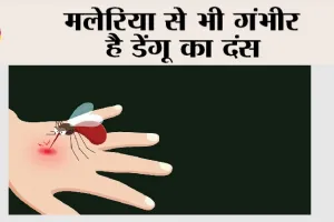 Dengue: मलेरिया से भी गंभीर है डेंगू का दंस