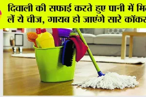 Diwali Cleaning Tips: दिवाली की सफाई में अपनाएं यह जबरदस्त ट्रिक, पोछे वाले पानी में मिक्स करिए यह 1 चीज, गायब हो जाएंगे सारे कॉकरोच