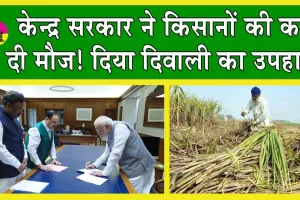 MSP Increased : केन्द्र सरकार ने किसानों की कर दी मौज! दिया दिवाली का उपहार!