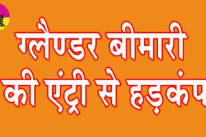 Glanders Disease: हिसार में ग्लैण्डर बीमारी की एंट्री से हड़कंप
