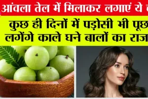 Hare Care: आंवला तेल में मिलाकर लगाएं ये चीजें, कुछ ही दिनों में पड़ोसी भी पूछने लगेंगे काले घने बालों का राज.