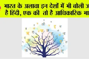 Hindi Language: भारत के अलावा इन देशों में भी बोली जाती है हिंदी, एक की तो है आधिकारिक भाषा, पढ़े पूरी डिटेल