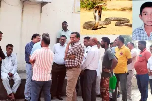 Snake Bites: स्कूल में सांप के काटने के 9वी कक्षा के छात्र की मौत