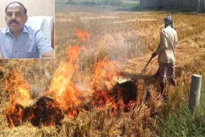 Stubble Burning Case: कैथल जिले में पराली जलाने में गुहला सबसे खराब, कलायत का सबसे अच्छा रिकॉर्ड
