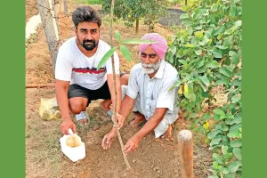 सरसा के इस ब्लॉक के सेवादार ने ऐसे मनाया अपना 57वां जन्मदिन!