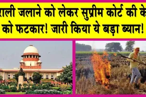 Supreme Court: पराली जलाने को लेकर सुप्रीम कोर्ट की केंद्र को फटकार! जारी किया ये बड़ा ब्यान!