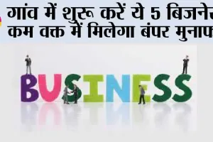 Top Five Business Start In Village: गांव में शुरू करें ये 5 बिजनेस, कम वक्त में मिलेगा बंपर मुनाफा!