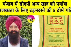खाद जमाखोरी पर नकेल: पंजाब में डीएपी अन्य खाद की पर्याप्त उपलब्धता के लिए उड़नदस्ते की 5 टीमें गठित