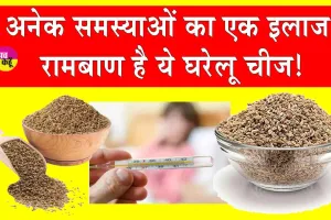 Health Benefits of Ajwain: सर्दियों में बीमारियों से बचना है तो आपके घर में रखी ये चीज है गुणकारी!