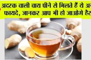 Adrak ki Chai: कैसे पकाएं अदरक वाली चाय? क्या है सही तरीका? यहां पढ़ें पूरी जानकारी