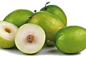 Ber ki Kheti: बेर की खेती