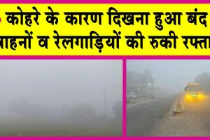 Sirsa Weather: सुबह-सवेरे छाया कोहरे का कहर! रोकी रोडवेज व रेलगाड़ी की रफ्तार