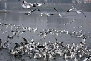 Tamil Nadu Weather: 26, 27 और 28 नवंबर होंगे बड़े भारी! बहुत भारी बारिश का अलर्ट!