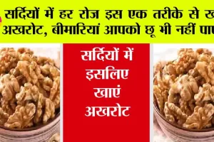 Walnuts Benefits: सर्दियों में आपको हेल्दी रखेगा अखरोट, जानें इसे खाने के 6 बड़े फायदे