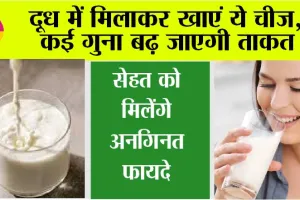 Winter Diet: दूध की ताकत कई गुना तक बढ़ा देती है ये एक चीज, रोजाना मिलाकर पीने से लोहे सा मजबूत बनता है शरीर