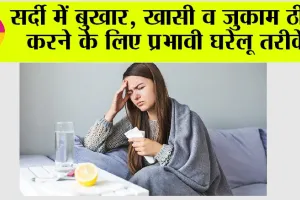 Winter Tips: सर्दी में बुखार, खासी व जुकाम ठीक करने के लिए प्रभावी घरेलू तरीके