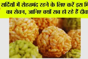 Best Winter Sweets: सर्दियों में सेहतमंद रहने के लिए करें इस मिठाई का सेवन, जानिए क्यों सब हो रहे हैं दीवाने