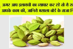 Cardamom: अगर आप इलायची का व्यापार कर रहे तो ये खबर आपके काम की, जानिये मसाला बोर्ड के ताजा नियम