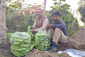 Agriculture News: परंपरागत खेती के साथ सब्जी उत्पादन करने वाले सफल किसान रविकांत