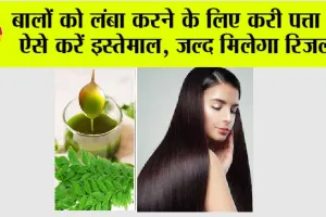 Long Hair Tips: बालों को लंबा और मजबूत करने के लिए करें करी पत्ते का इस्तेमाल, जाने कैसे करें प्रयोग