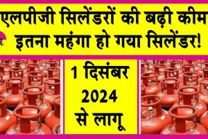 LPG Cylinder Price Hike: महंगा हुआ एलपीजी सिलेंडर, इतनी बढ़ गई कीमतें!