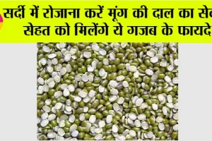 Moong Dal Benefits: सर्दी में रोजाना करें मूंग की दाल का सेवन, सेहत को मिलेंगे ये गजब के फायदे
