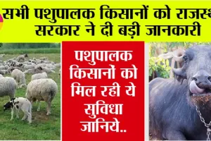Rajasthan News: सभी पशुपालक किसानों को राजस्थान सरकार ने दी बड़ी जानकारी, मिल रही है ये खुशखबरी
