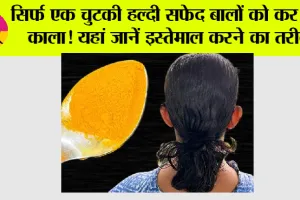 White Hair: सिर्फ एक चुटकी हल्दी सफेद बालों को कर देगी काला, यहां जानें इस्तेमाल करने का तरीका