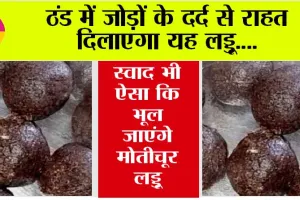 Winter Special Laddu: ठंड में जोड़ों के दर्द से राहत दिलाएगा यह लड्डू, स्वाद भी ऐसा कि भूल जाएंगे मोतीचूर लड्डू