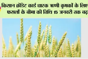 Farmers News: किसान क्रेडिट कार्ड धारक ऋणी कृषकों के लिए रबी फसलों के बीमा की तिथि 15 जनवरी तक बढ़ाई
