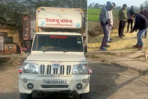 Leopard: हांसी के नजदीक तेंदुआ घुसने की खबर से मची अफरा तफरी
