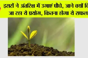 Isro News: इसरों ने अंतरिक्ष में उगाएं पौधे, जाने क्यों किया जा रहा ये प्रयोग, कितना होगा ये सफल?
