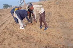 Leopard News: गुलपुरा और राघा बड़ी में दिखे तेंदुए के पैरों के निशान, वन विभाग ने किया सतर्क!