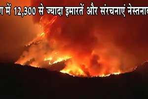 Los Angeles Forest News: जंगल की आग में 12,300 से ज्यादा इमारतें और संरचनाएं नेस्तनाबूद