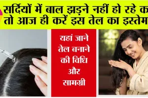 Winter Hair Care: सर्दियों में बाल झड़ने नहीं हो रहे कम, तो आज ही करें इस तेल का इस्तेमाल, यहां जाने तेल बनाने की विधि और सामग्री