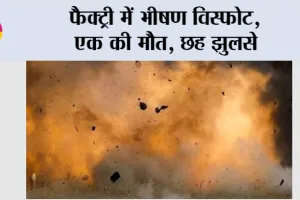 Telangana News: फैक्ट्री में भीषण विस्फोट, एक की मौत, छह झुलसे