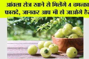Amla Benefits: आंवला रोज खाने से मिलेंगे 4 जबरदस्त फायदे, जानकर आप भी हो जाओगे हैरान