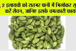 Elaichi Water Benefits: 2 इलायची को रातभर पानी में भिगोकर सुबह करें सेवन, जानिए इसके चमत्कारी फायदे