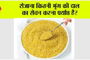 Moong ki dal: रोजाना कितनी मूंग की दाल का सेवन करना पर्याप्त है?