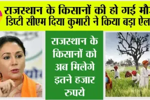 Rajasthan Budget 2025 LIVE: राजस्थान के किसानों की हो गई मौज,  डिप्टी सीएम दिया कुमारी ने किया बड़ा ऐलान