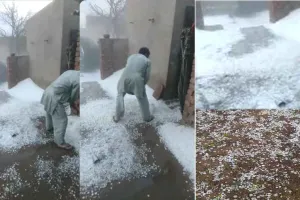 Hailstorm: लूणकरणसर, चुरू, राजगढ़ व भानीपुरा सहित कई गांवों में भीषण ओलावृष्टि हुई