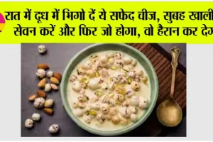 Soaked Makhana Benefits: रात में दूध में भिगो दें ये सफेद चीज, सुबह खाली पेट सेवन करें और फिर जो होगा, वो हैरान कर देगा!