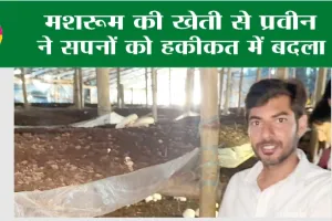 Mushroom Ki Kheti: मशरूम की खेती से प्रवीन ने सपनों को हकीकत में बदला