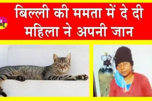मरी बिल्ली जिंदा नहीं हुई तो महिला ने दे दी जान!