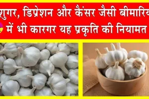 Garlic Health Benefits: लहसुन बिना सब सून! शारीरिक बीमारियों को चुटकी में दूर कर देता बड़ा सुकून