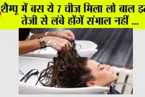 Hair Care Tips: शैम्पू में बस ये 7 चीज मिला लो बाल इतनी तेजी से लंबे होंगें संभाल नहीं …