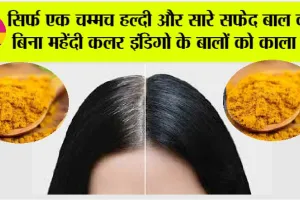 How To Black White Hair: सिर्फ एक चम्मच हल्दी और सारे सफेद बाल काले बिना महेंदी कलर इंडिगो के बालों को काला करें