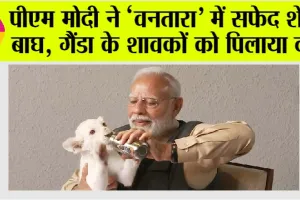PM Narendra Modi: पीएम मोदी ने ‘वनतारा’ में सफेद शेर, बाघ, गैंडा के शावकों को पिलाया दूध
